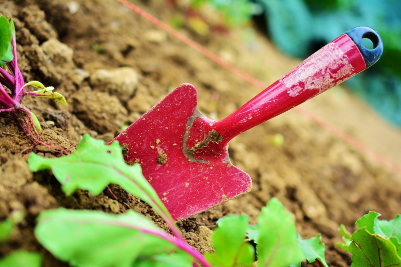 sasu-THEOULE SUR MER-min_gardening-2448134